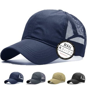 RF Lbv Y 傫TCY Xq 60-65cm [ bV ʋC  y jp   Β lC ڂ (u[)