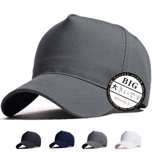 RF Lbv 傫TCY Xq Y [ 60-65cm V jp   Β lC n ڂ (O[)