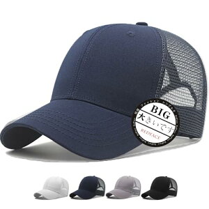 RF Lbv 傫TCY Xq Y bV [ 60-65cm jp   Β lC n ڂ(u[)