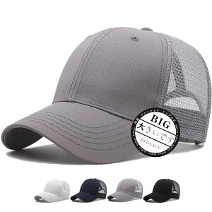 RF Lbv 傫TCY Xq Y bV [ 60-65cm jp   Β lC n ڂ(CgO[)