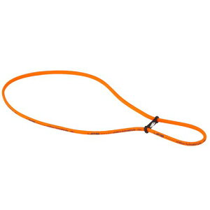 [Au] tbgTwAoh UJS7302 FLAM tC