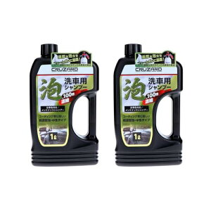 R  CRUZARD N U[h A (lߑւ 1L × 2{)