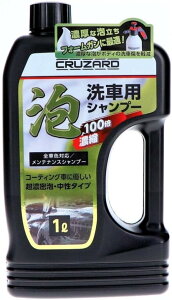 CRUZARDiNU[hj AԗpVv[ 1L