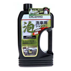 CRUZARDiNU[hj AԗpVv[ 1L