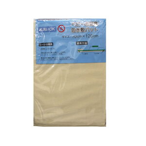 At@ hV[c xr[Qh~pbhiNS-70120jxr[Qi70×120cmjSʃ^CvilStjN[F