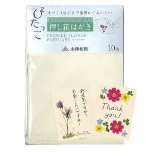 Fԓ` ԃLbg  ͂ Lbg ҂ F(v10) R IWi͂ Øa