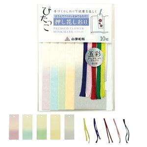 Fԓ` ԃLbg   Lbg ҂ 5F×2(v10) R IWi Øa