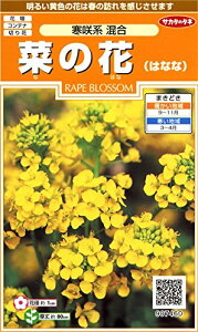 サカタのタネ 実咲花7460 菜の花 寒咲系混合 00907460