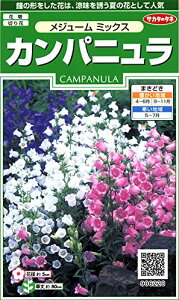 TJ^̃^l 6220 Jpj W[~bNX 00906220