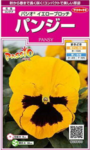 TJ^̃^l 5600 pW[ pVI CG[ub` 00905600