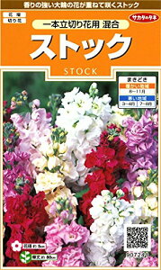 TJ^̃^l 7241 XgbN {؉ԗp 00907241