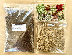【マルイ農園】多肉植物 カット苗 12種類お任せパック + 培養土1L + 赤玉土0.3L 「寄せ植えお気軽スターターセット」(おまけ、ブリキ缶1個 カラーランダム)寄植え 苗 本物 観葉植物 多肉植