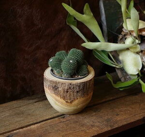 EbhM[ }S[Ebh|bg Mango Wood Jo[ ؐv^[ }S[̖ Jo[  v^[|bg VRf  킢 񂹐A X K[fjO K