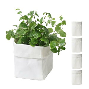 BOTANIQLEi{^jNjNtg Jo[S 5 zCg 2 3 