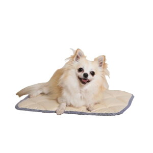 xԊO }bguAt@EF[uPETvSLA^ (₦΍  Nێ )