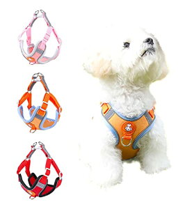  n[lX ^ ^ ps[pn[lX  ybgpi L ȒP Ԕ s⏕p \tg   h~ PetGround (IW, XXXS)