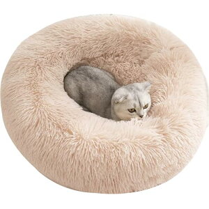 AYO ybgxbh ybgNbV ybg\t@ xbh Lxbh Lp q ^pxbh p ybgpi 薰 ϊ ی^ Eh^ h[ic _ ӂ ӂ