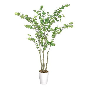 RAKU tFCNO[ ϗtA tFCN^ 155 cm p  Vv ItBX  CeA ^ t  lH j ̓ (hE_ccW 155 cm)