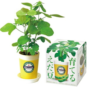 V| ʔN ƒ؉ ȒP ͔|Lbg ܂  ͔|Zbg (R/H) ̌a12cm Ă邦 GD-979