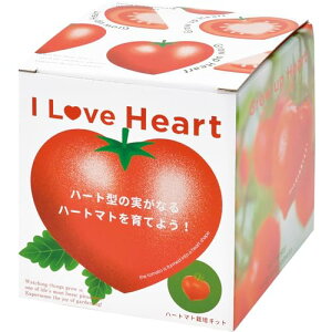 聖新陶芸 春/夏/冬 家庭菜園 栽培キット ハートマト ミニ 簡単 ゆったり育てる 野菜 栽培セット (自由研究/食育) 赤 母の日 誕生日 プレゼント 鉢の径 約12cm 日本製 GD-1032