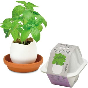 V| ʔN ƒ؉ ȒP ͔|Lbg oW  n[u ͔|Zbg (R/H) 7×9cm GbOO GR ̓ v[g a EG-6002