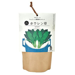 V| ʔN ƒ؉ ȒP ͔|Lbg Ă ق  ͔|Zbg ( R / H ) 12×6cm ĂX[v ̓ v[g a GD-79504