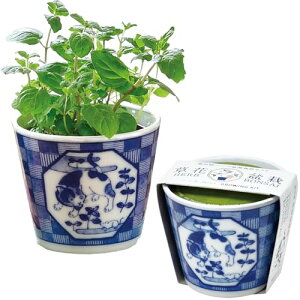 V| ʔN ƒ؉ ~j ȒP Ă ͔|Lbg ~g  n[u ͔|Zbg (R/H) ̌a 7cm t  BONSAI lR ̓ v[g a GD-102202