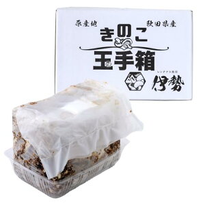 ő͔|Lbg ͔| 蕨 t ő ő͔| ̂  ͔̂| ۏ ۏő ő͔|Lbg  {i͔| H R