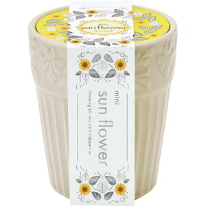 V| ʔN ƒ؉ ͔|Lbg u OCX K[f v ~jq} ~j ȒP Ă  ͔|Zbg (R) zCg ̓ a v[g ̌a 8cm { GD-103