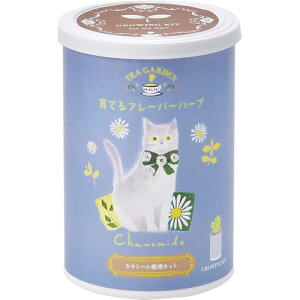 聖新陶芸 通年 家庭菜園 栽培キット 「 育てるフレーバー 」 カモミール ミニ 簡単 ゆったり育てる 香草 ハーブ 栽培セット (自由研究/食育) ブルー 母の日 誕生日 プレゼント 鉢の径 約7cm 日