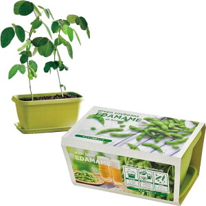 V| t / H ƒ؉ ȒP ͔|Lbg Ă ܂  ͔|Zbg ( R / H ) 24×15cm ENJOY PLANTER VEGE ̓ v[g a GD-93101