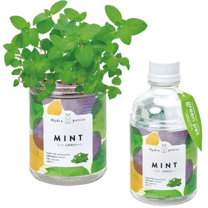 V| ʔN ƒ؉ ȒP ͔|Lbg ~g  n[u ͔|Zbg (R/H) ̌a7cm O[ybg ̓ v[g a GD-100201