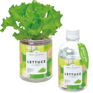 V| ʔN ƒ؉ ȒP ͔|Lbg ^X  ͔|Zbg (R/H) ̌a7cm O[ybg ̓ v[g a GD-100204