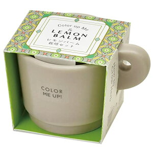 V| ʔN ƒ؉ ȒP ͔|Lbg Ă o[ n[u ͔|Zbg ( R / H ) 5×4cm ~j J[~[Abv}O ̓ v[g a GD-96902