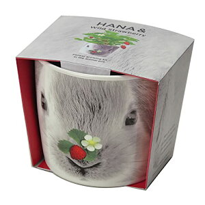 V| ʔN ƒ؉ ȒP ͔|Lbg Ă ChXgx[ n[u ͔|Zbg ( R / H ) ̌a9cm HANA&ANIMALS ETM ̓ v[g a GD-85801