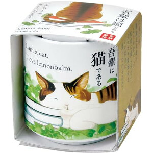 聖新陶芸 通年 家庭菜園 栽培キット 「 お芽でたおちょこ 吾輩猫 」 レモンバーム ミニ 簡単 ゆったり育てる 香草 ハーブ 栽培セット (自由研究/食育) 母の日 誕生日 プレゼント 鉢の径 約4cm