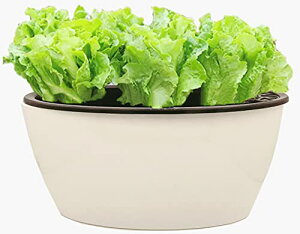 3world Aؔ vX`bN      n[u ͔| SW1762ȉ~^(29x15cm)