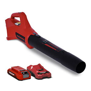 POWERWORKS パワーワークス ブロアー 充電式 24V 小型 洗車 落ち葉 P24AB (本体・バッテリー・充電器セット)