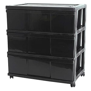 ߑP[X 3i LX^[t vX`bN Ch `FXg ^X [P[X o e 60cm s40cm 66cm g { (X[p[ubN) W3-1ABK