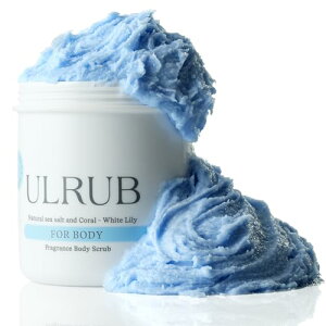 ULRUB Eu {fBXNu zCg[ 460gyXNuz  fP[g][ L G e ̘r p K Ђ Ђ  CICAGLX vZ^ {fB[\[v r^