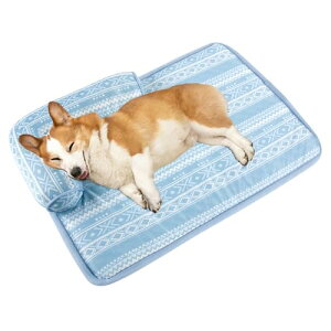 Peto-Raifu ybg}bg L p t}bg ڐG⊴ ybgxbh ybgV[c ybg~pbh ybgQ}bg \tgN[}bg ėp N[}bg ΍ Ђ y 