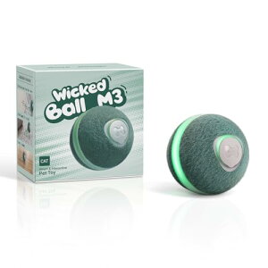 Hoochii × Cheerble L {[  L d {[ lV 3[h\ Type-C[d t L炵 VRf ӂӂ C^NeBu ^s XgX