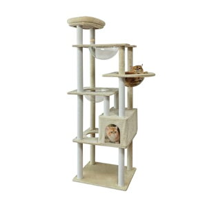 RAKU L^[ Lbg^[ u^ ۊp݌v L ܂Ƃ|[ FD ˂nEX  萫 ȒP ^s z ^L VjA 176 cm  