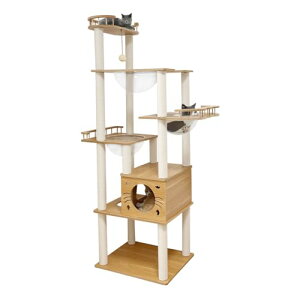 {[J[ RAKU Lbg^[ FDt nC^Cv 183.5 cm ؐ u @\ ܂Ƃ{[ zCgRbgx tW] LnEX lp^y 萫 ^Lp