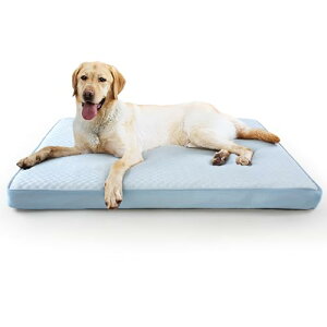 Peto-Raifu xbh NbV xbh ybgxbh ybg\t@[xbh  Ђ ⊴ ⊴xbh 􂦂 ӂӂ Q h ~ V  h~ ʔNgp Hc ^