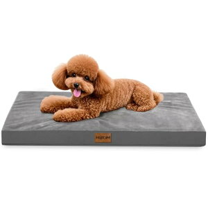 MUGIMybgNbV oʃfUC ē~p h pxbh Lxbh ̈U  ʋC xbh I[V[Y pNbV 􂦂ybgxbh}bg ^ ^