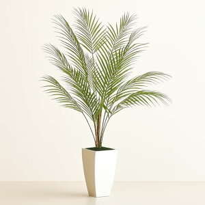 Wio MiotFCNO[ lHϗtA 105cm V̖ G}ϗtA tFCN O[ t sv Q쏜sv C L R  ItBX ƒ oRj[ MtgœK