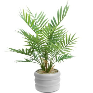 WillingYou tFCNO[  lHϗtA MуV 40cm t  CeA sv ȒP Mtg Vzj ̓