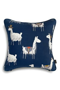 Out Style NbVJo[ CMX n A {D k (ApJ CfBS, 45x45)