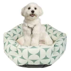 JinYin Pet  L xbh ybg xbh NbV J[ybg Q g }bg \t@ ^ t  H ~pxbh ʔN I[V[Y ӂӂ ~ 􂦂 Lʗp Zp^